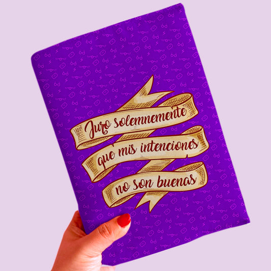 JURO SOLEMNEMENTE - BOOK COVER